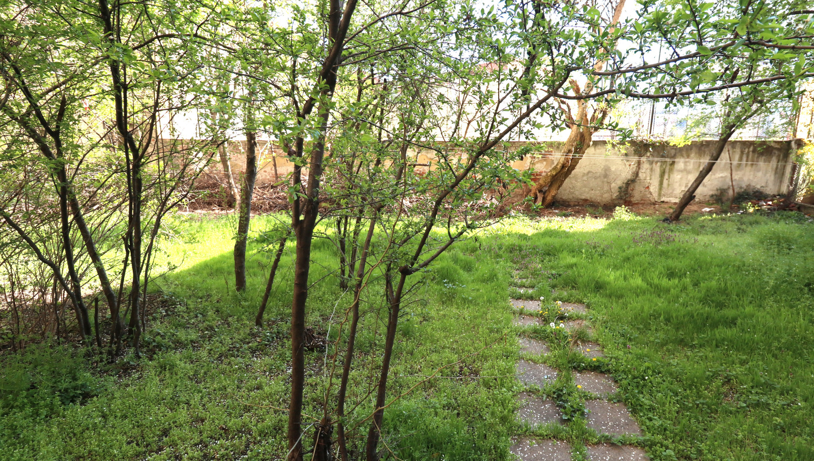 ���� ��� ���� 2-����� | Imot.bg � ����������� 17