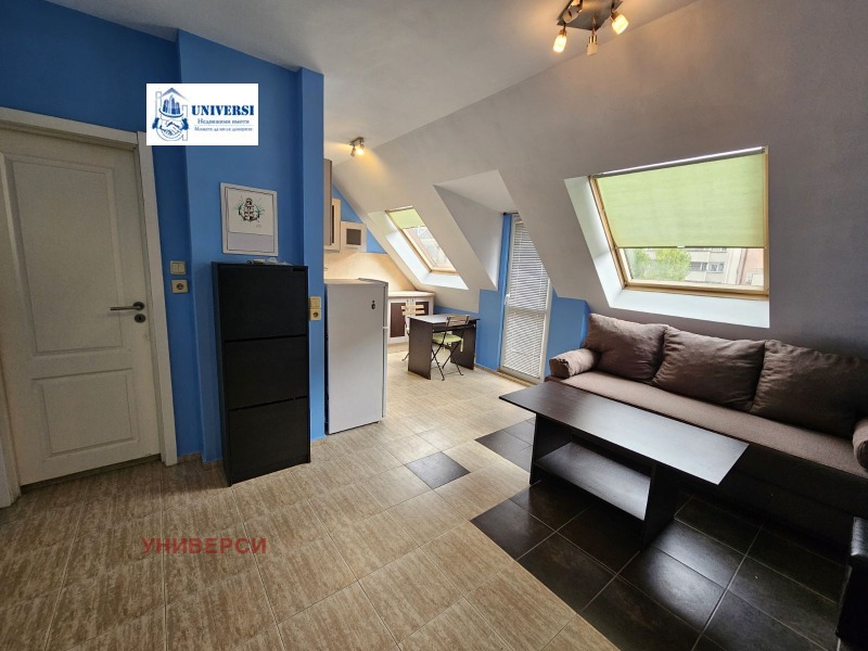 Do wynajęcia  1 sypialnia Sofia , Borowo , 55 mkw | 63009998