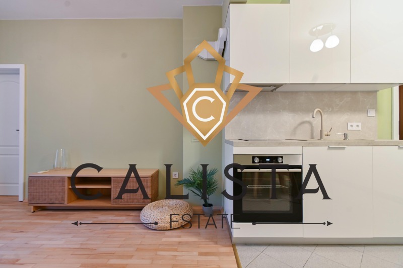 Издаје се  1 спаваћа соба Софија , Центар , 60 м2 | 67801883 - слика [6]