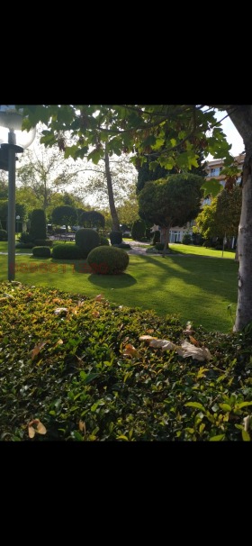 ���� ��� ���� 1-����� | Imot.bg � ����� ������ 8