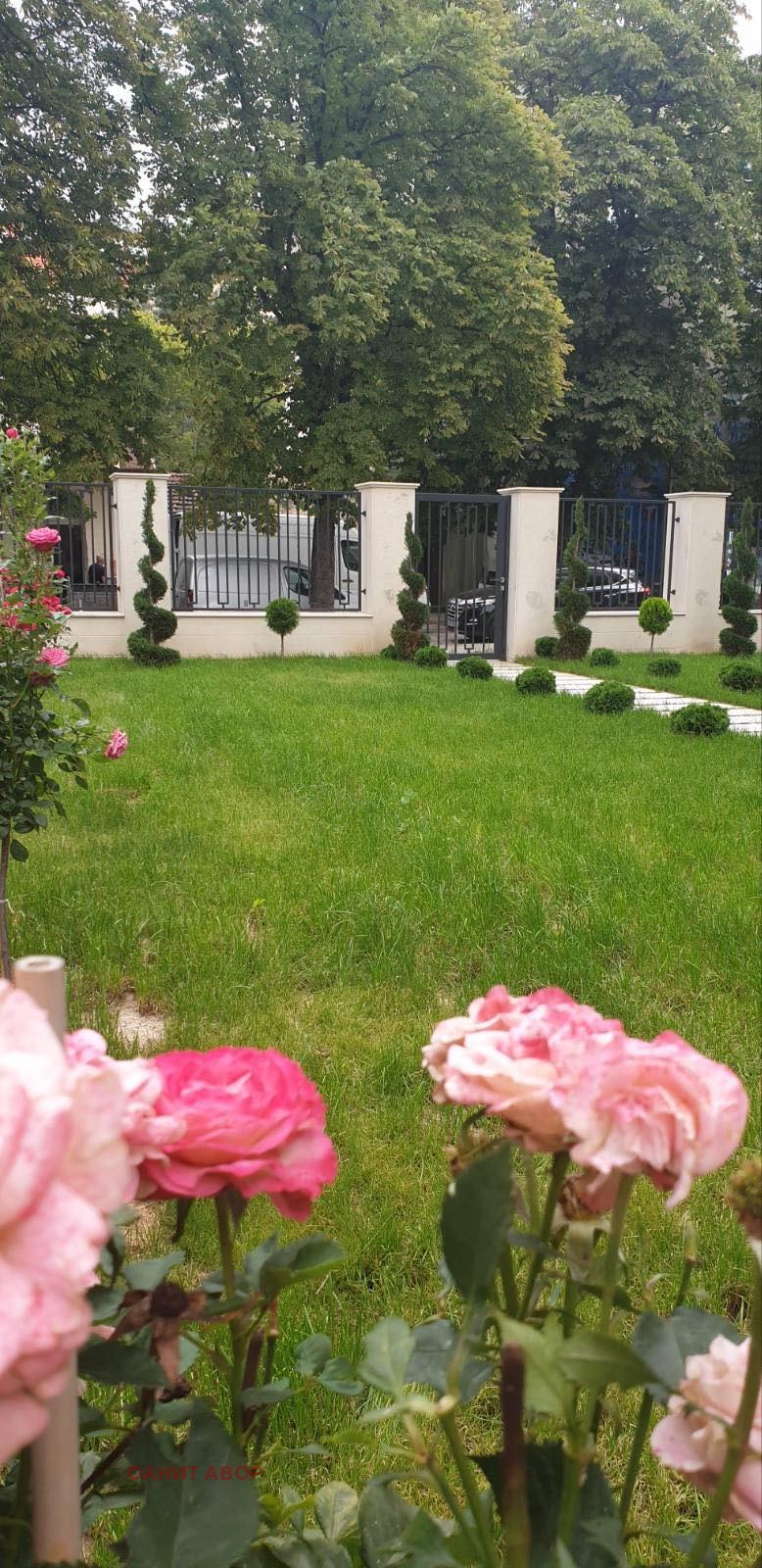 Издаје се  Кућа Софија , Центар , 70 м2 | 92140631 - слика [8]
