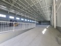 Под наем СКЛАД, град Варна, Западна промишлена зона • 14760 € • 14575913 — Holmes.bg