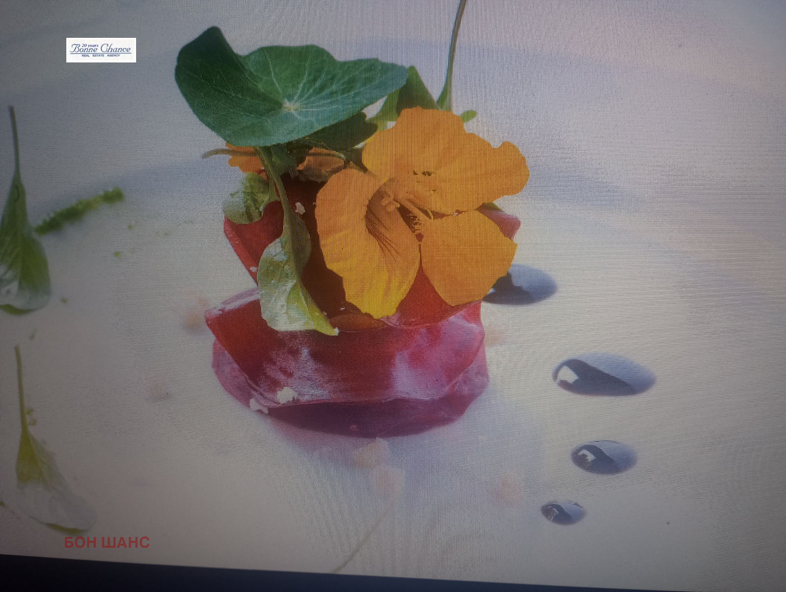 ���� ��� ���� ��������� | Imot.bg � ����������� 2