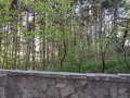 Под наем ЗАВЕДЕНИЕ, град Варна, Бриз • 600 € / 1173.50 лв. • 15661794 7