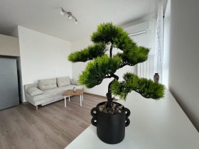   2- | Imot.bg    2