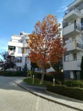 Под наем 2-СТАЕН, град София, Студентски град • 1080 лв. / 552.20 € • 86407059 6