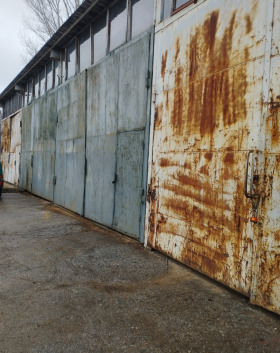 ����� ���� ��� ���� ����. ���������,���� �����, ���������