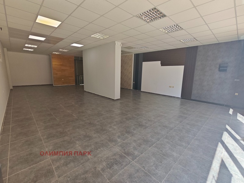 Til leje  Butik Plovdiv , Trakiya , 235 kvm | 61644490