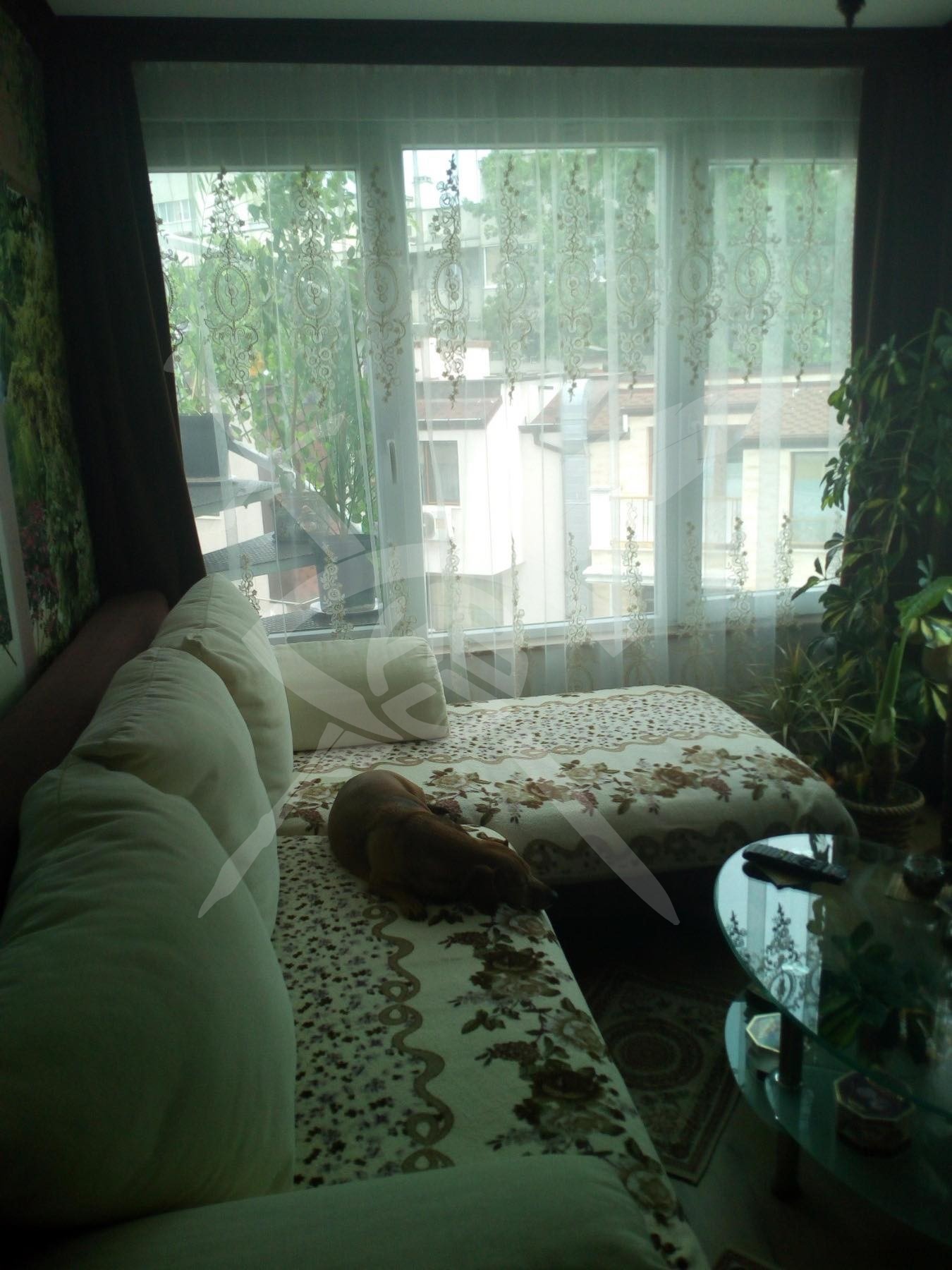 ���� ��� ���� 3-����� | Imot.bg � ����������� 4