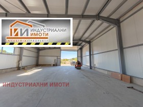 ����� ���� ��� ���� �����,���� �������, ������������ ���� - �����