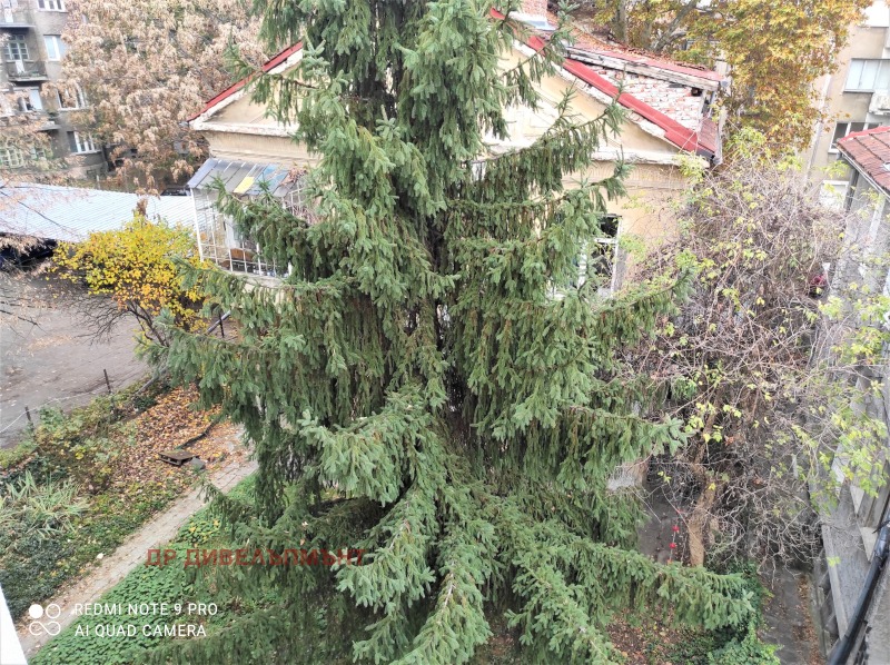 Издаје се  Студио Софија , Обориште , 32 м2 | 22659343 - слика [13]