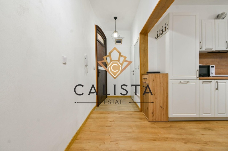 Дава под наем 2-СТАЕН, гр. София, Център, снимка 10 - Апартаменти - 52659277