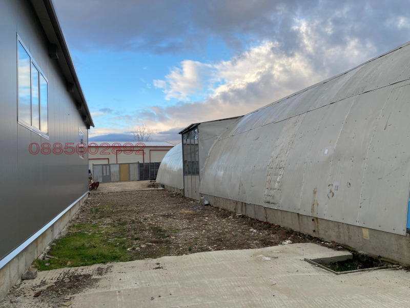 Дава под наем ПРОМ. ПОМЕЩЕНИЕ, гр. Асеновград, област Пловдив, снимка 4 - Производствени сгради - 52841404