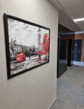 Под наем ОФИС, град Варна, Планова промишлена зона • 492 € / 962.27 лв. • 29743476 3