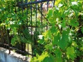 Под наем 1-СТАЕН, град София, Овча купел • 750 лв. • 67275457 — Holmes.bg