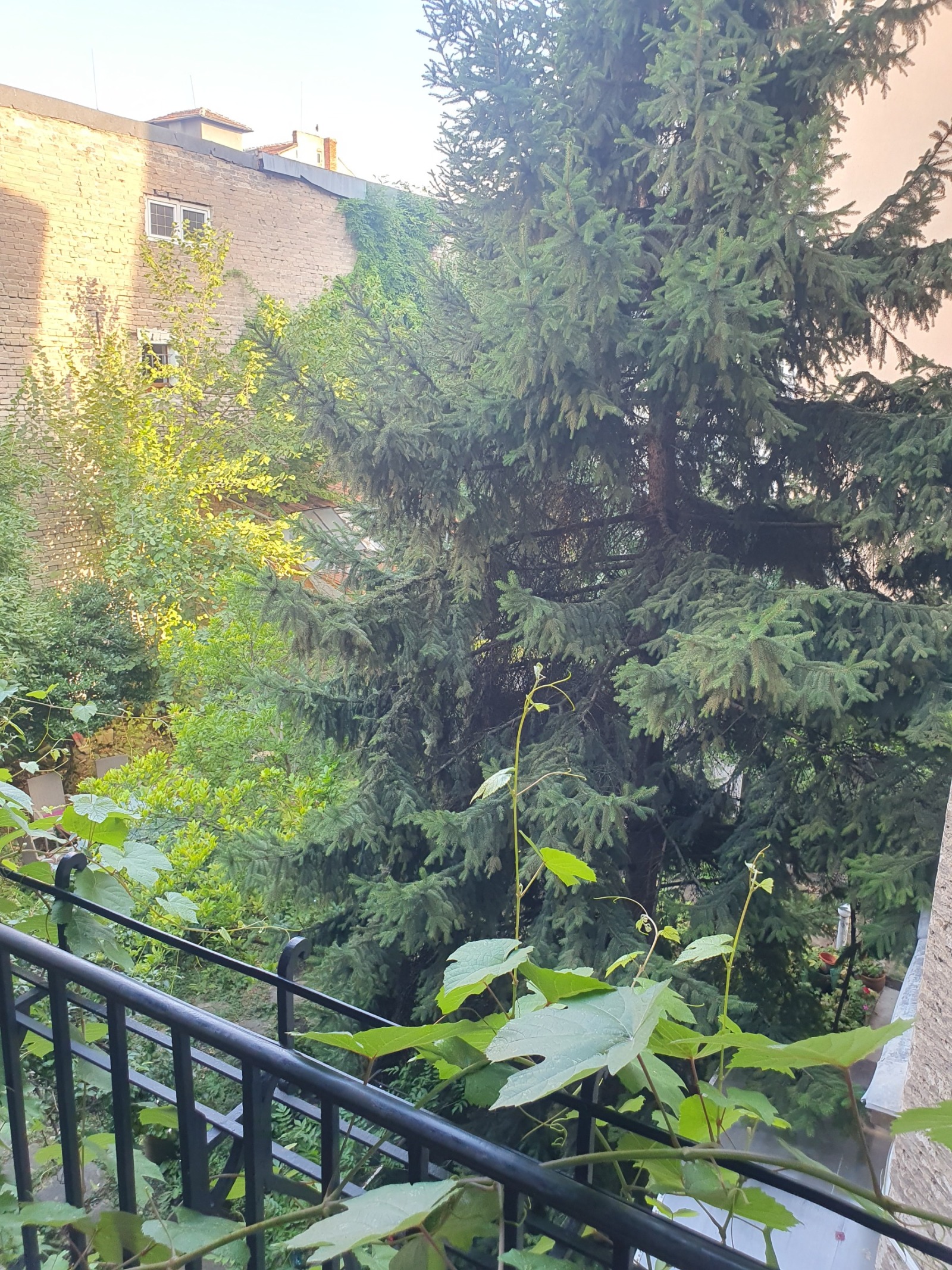 Дава под наем 3-СТАЕН, гр. София, Център, снимка 2 - Апартаменти - 53729513