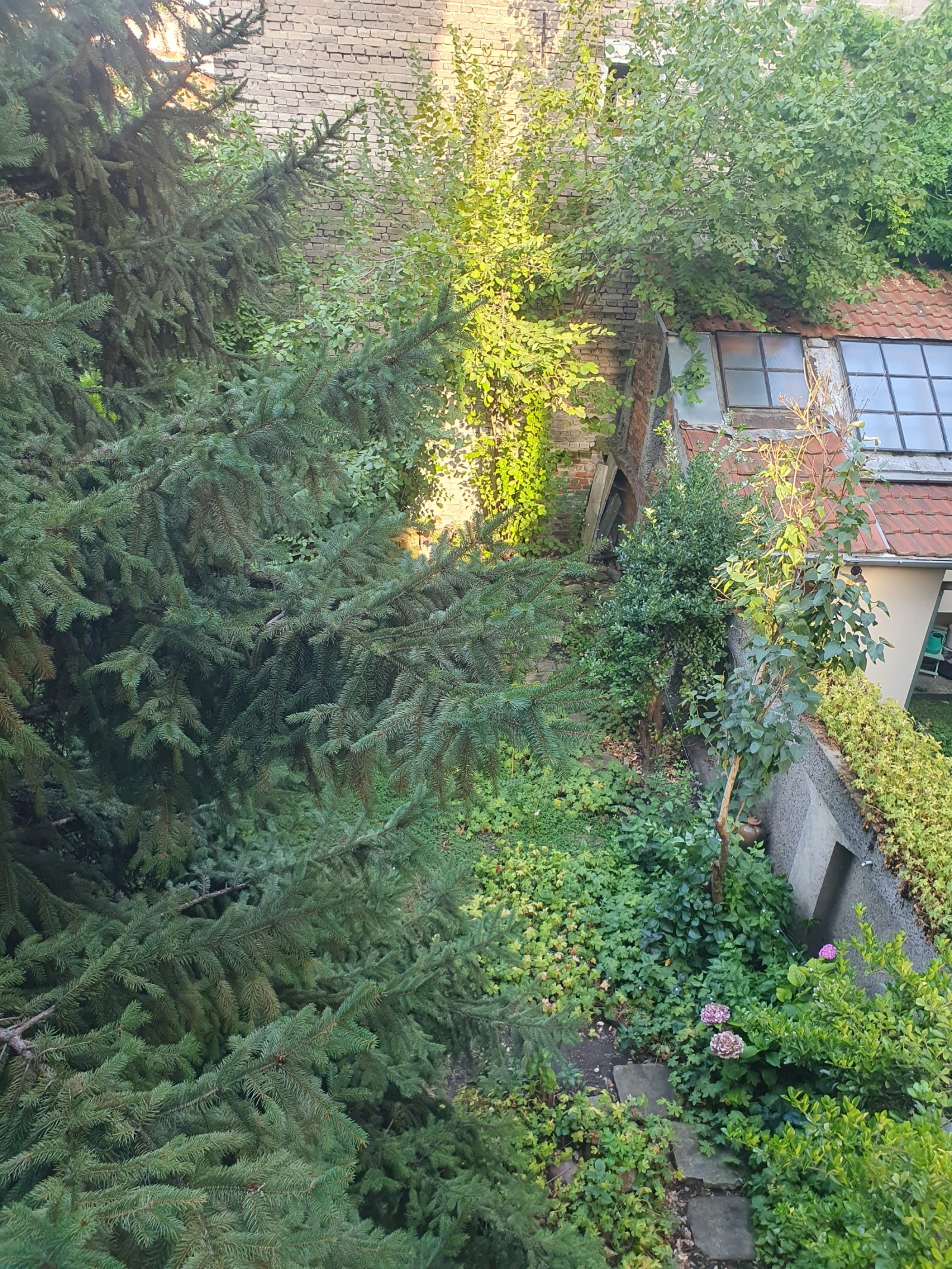 Дава под наем 3-СТАЕН, гр. София, Център, снимка 8 - Апартаменти - 53729513