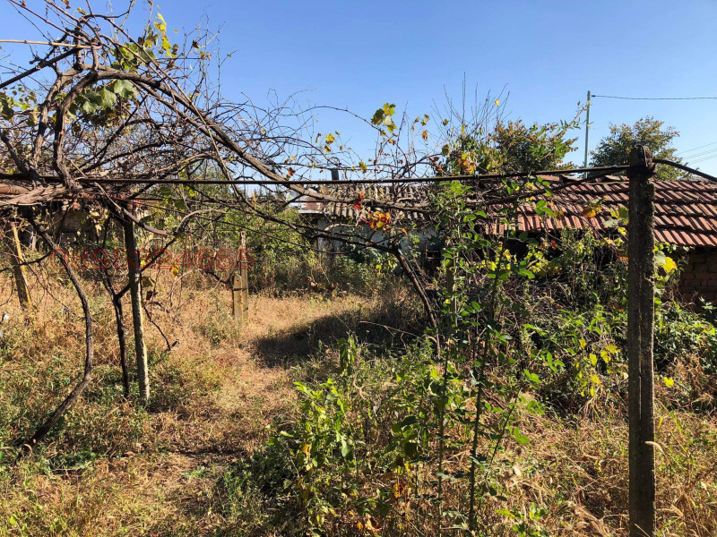 Дава под наем КЪЩА, с. Вирове, област Монтана, снимка 8 - Къщи - 52802879