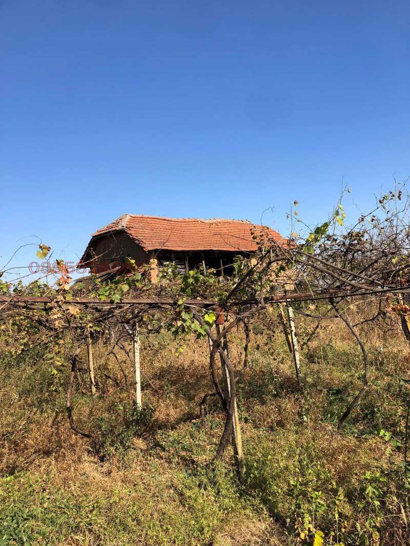 Дава под наем КЪЩА, с. Вирове, област Монтана, снимка 9 - Къщи - 52802879