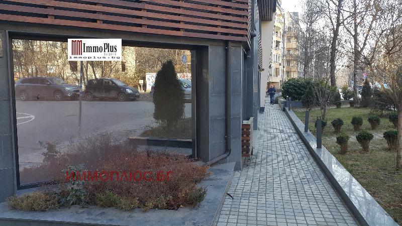 Дава под наем МАГАЗИН, гр. София, Лозенец, снимка 5 - Магазини - 54522029