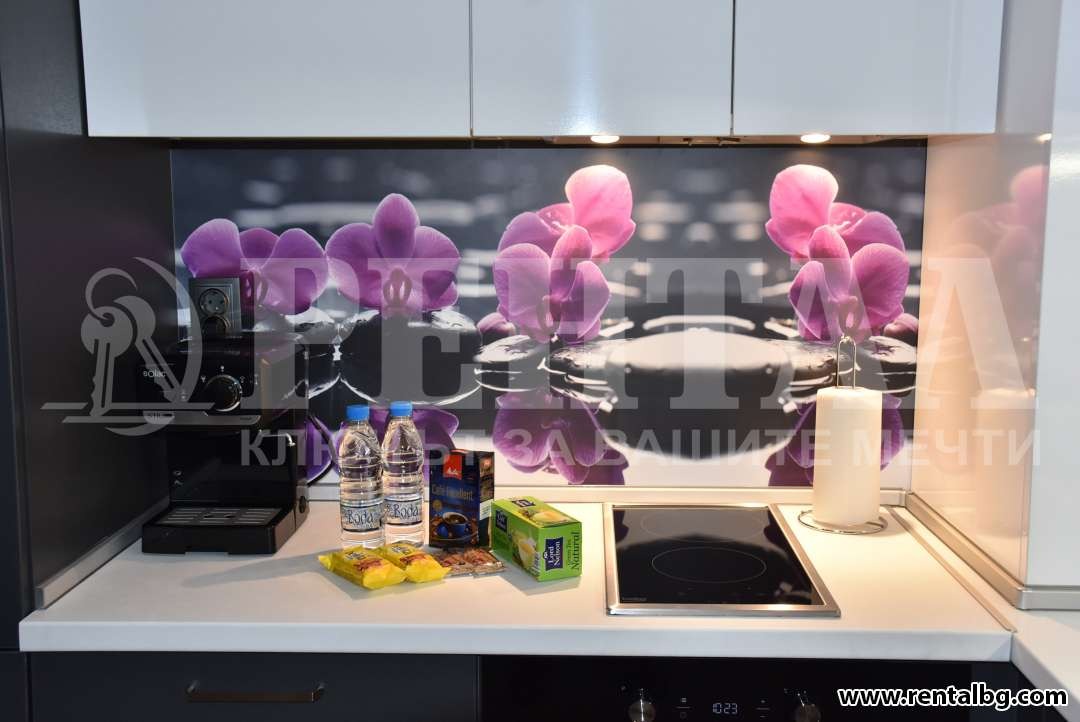 Дава под наем 2-СТАЕН, гр. Пловдив, Център, снимка 12 - Апартаменти - 54351666