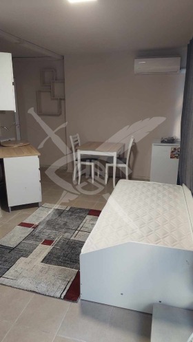 Studio Kolhozen pazar, Warna