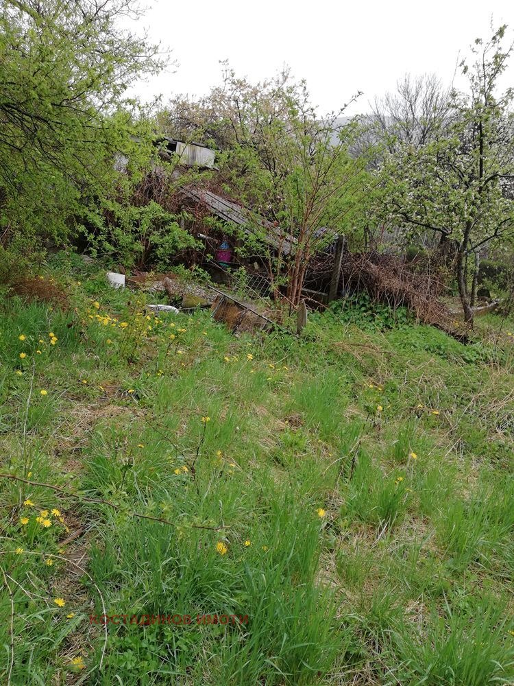 Til leje  Hus region Plovdiv , Galabovo , 30 kvm | 49594655 - billede [3]