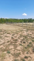 Дава под наем  Гараж, Паркомясто град София , с. Световрачене , 500 кв.м | 52470386 - изображение [2]