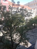 Под наем ОФИС, град София, Център • 400 € • 48630584 6