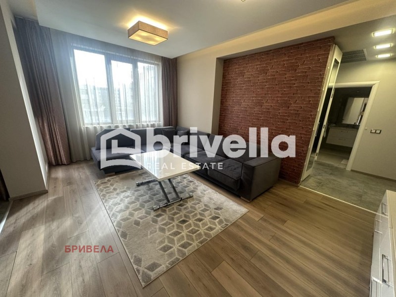 Дава под наем 2-СТАЕН, гр. София, Витоша, снимка 4 - Апартаменти - 53248760