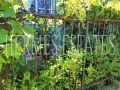 Под наем 3-СТАЕН, град София, Овча купел • 1200 лв. • 55877958 — Holmes.bg