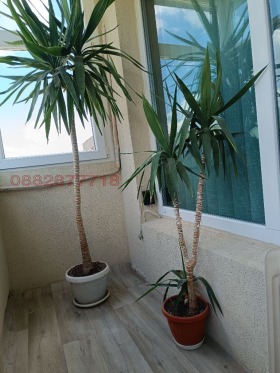 ���� ��� ���� 4-����� | Imot.bg � ����� ������ 15