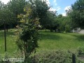 Под наем ОФИС, град София, Бояна • 1500 € • 28338405 — Holmes.bg