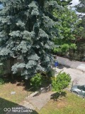Под наем ОФИС, град София, Бояна • 1500 € • 28338405 — Holmes.bg