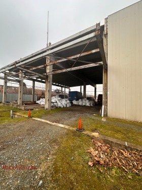 ����� ���� ��� ���� ������������� ������,���� ����� ������, �����