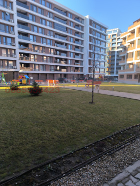 ����� ���� ��� ���� 3-�����,���� �����, �������� ������