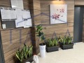 Под наем 3-СТАЕН, град Варна, Левски 1 • 600 € • 78911404 — Holmes.bg