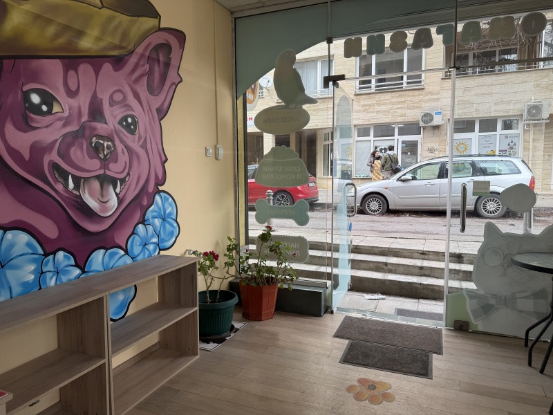 Дава под наем МАГАЗИН, гр. София, Гео Милев, снимка 3 - Магазини - 53416342