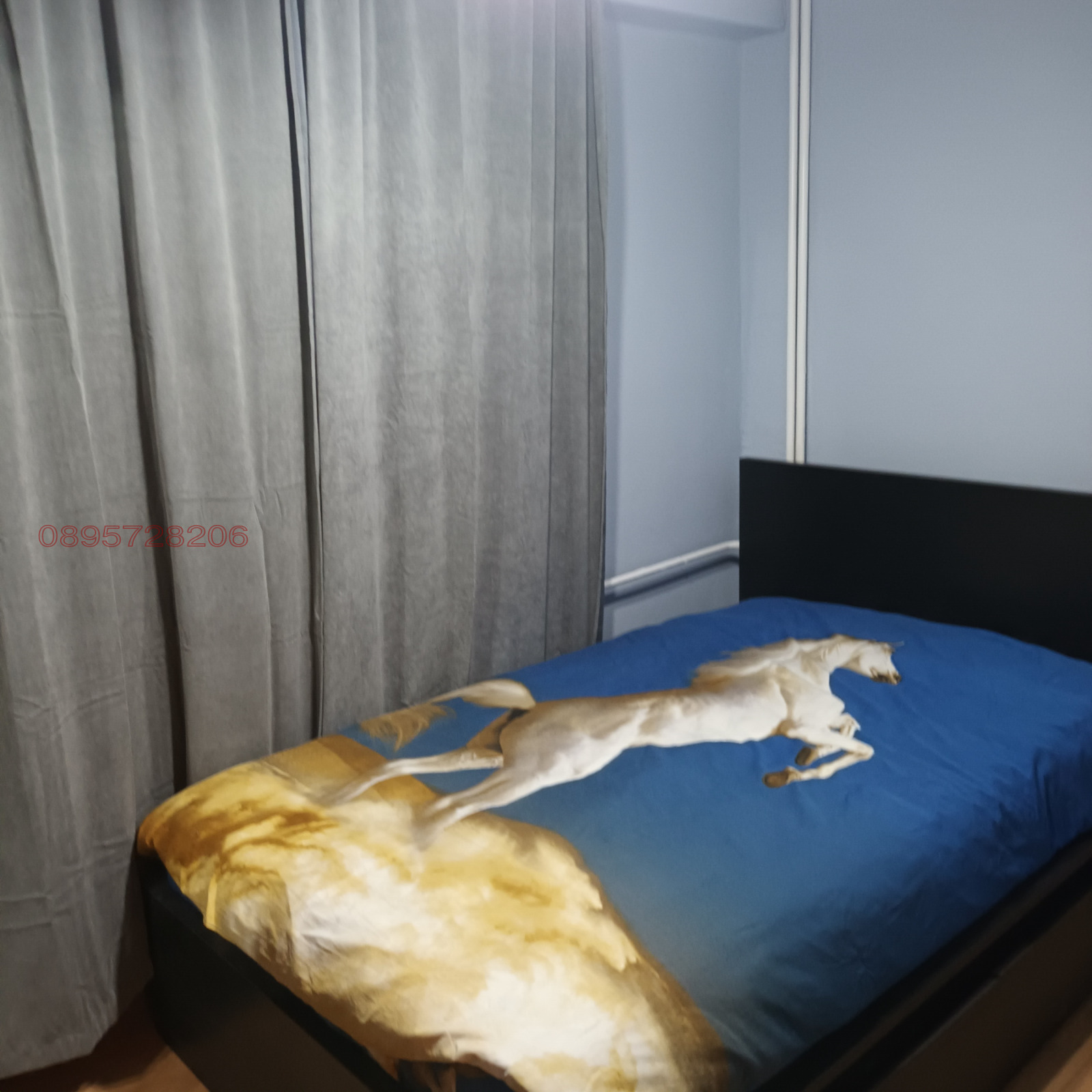 ���� ��� ���� 2-����� | Imot.bg � ����������� 7