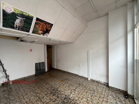 ����� ���� ��� ���� �������,���� �����, ������