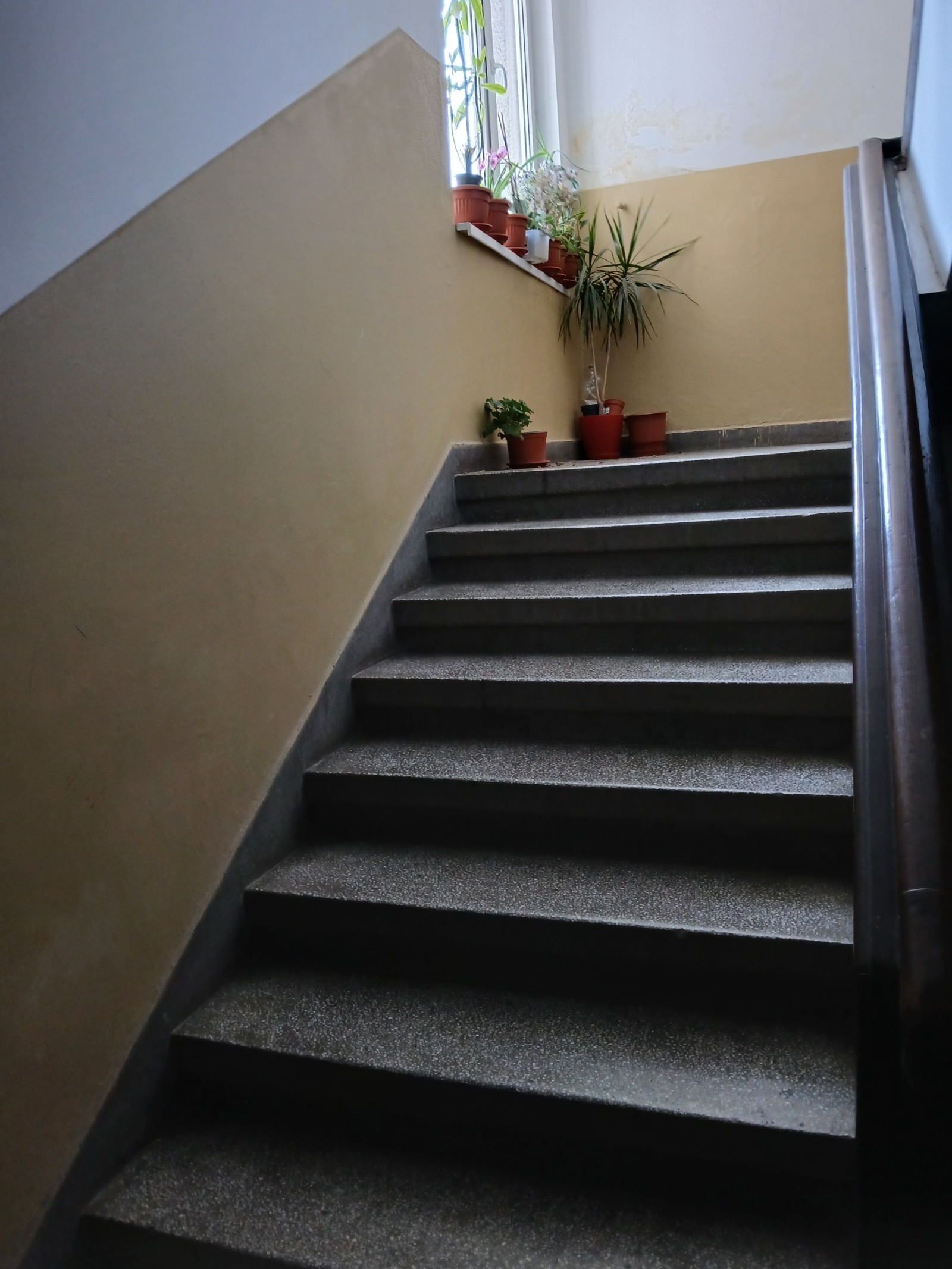 ���� ��� ���� 1-����� | Imot.bg � ����������� 12