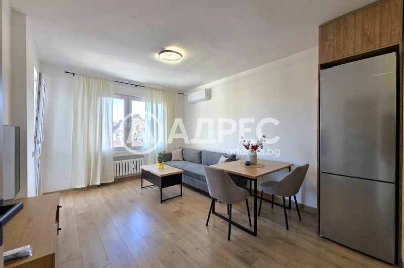 Дава под наем 2-СТАЕН, гр. София, Лозенец, снимка 3 - Апартаменти - 53172683