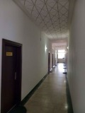      ,  , 