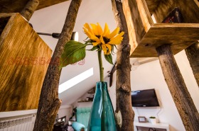 ���� ��� ���� 2-����� | Imot.bg � ����� ������ 10