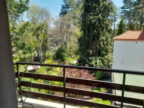 ����� ���� ��� ���� 3-�����,���� �����, �����