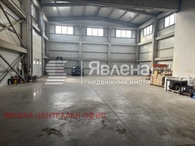 ����� ���� ��� ���� �����,���� �����, ���������