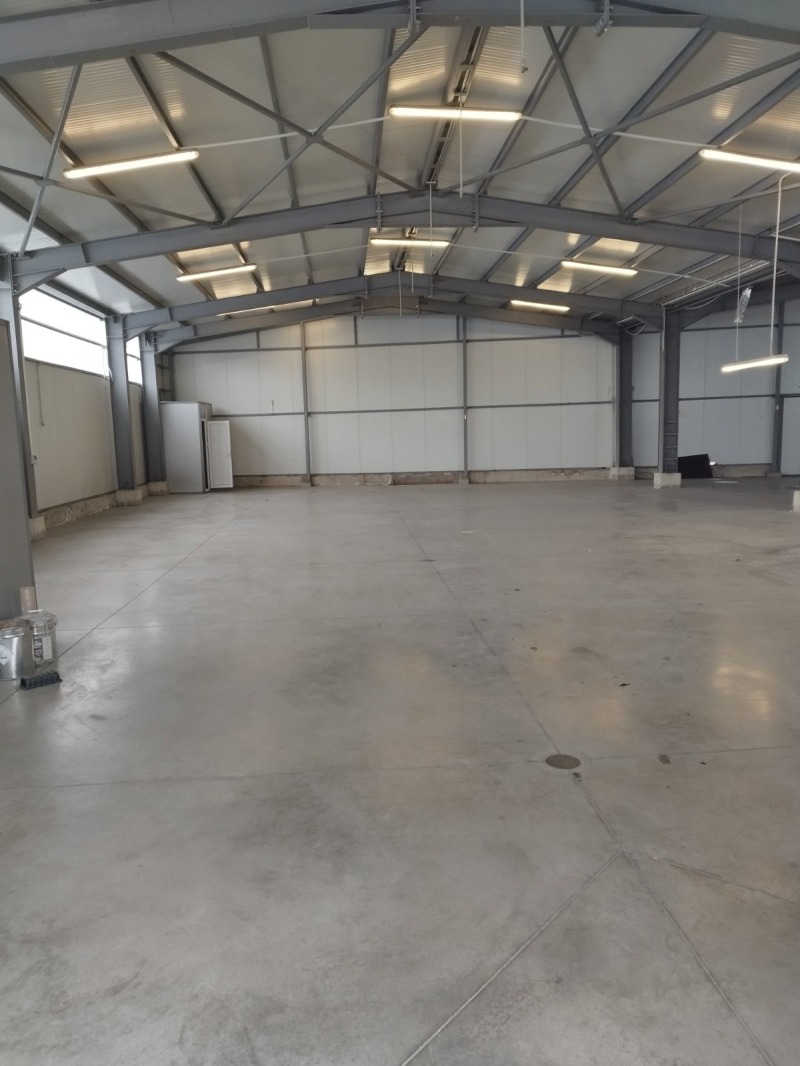 Дава под наем СКЛАД, гр. Пловдив, Индустриална зона - Север, снимка 3 - Складове - 52465051