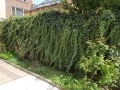 Дава под наем  Офис град Пловдив , Център , 44 кв.м | 45887410 - изображение [8]