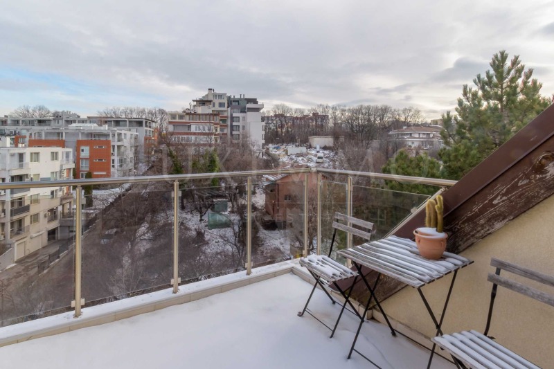 Дава под наем 2-СТАЕН, гр. София, Витоша, снимка 15 - Апартаменти - 53099493