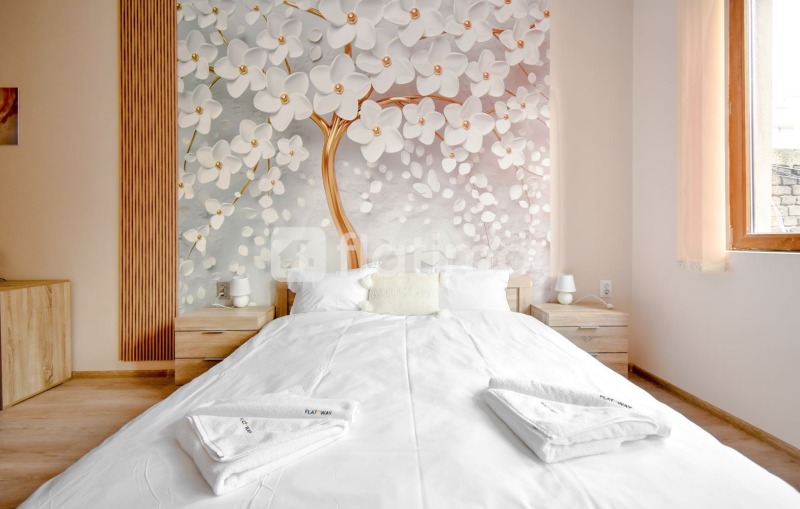 Дава под наем 2-СТАЕН, гр. София, Център, снимка 2 - Апартаменти - 53032426